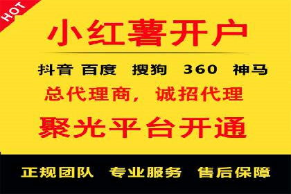 搜索引擎推广的佼佼者——百度搜索推广案例